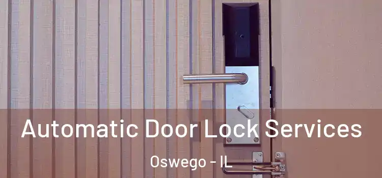 Automatic Door Lock Services Oswego - IL