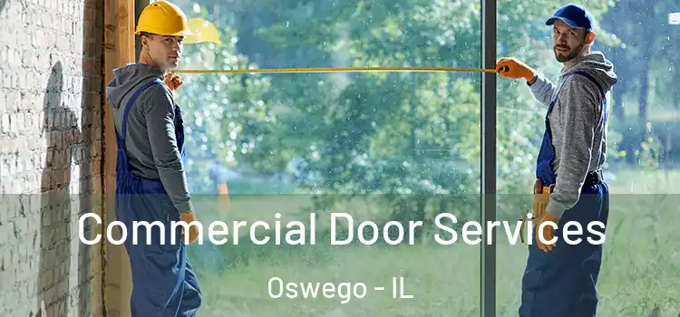 Commercial Door Services Oswego - IL