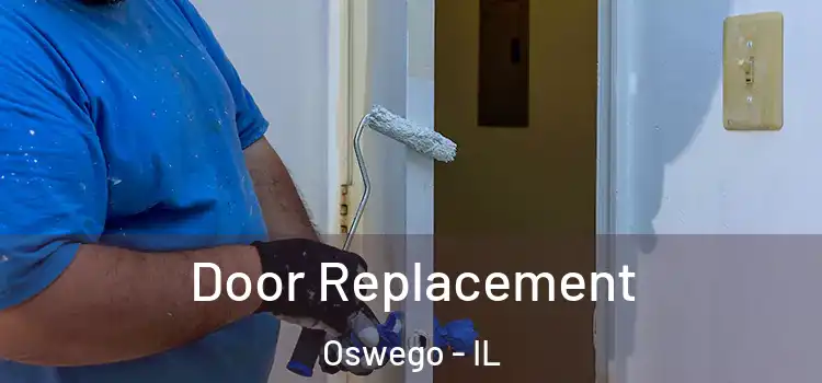 Door Replacement Oswego - IL
