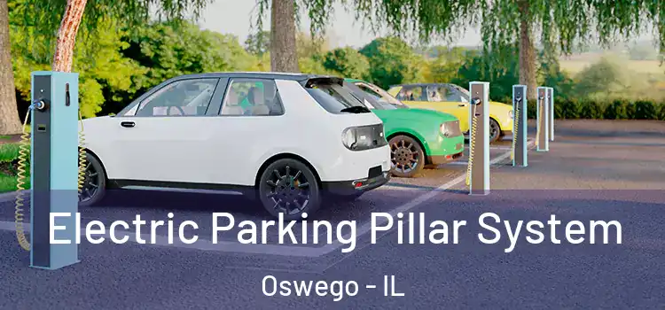 Electric Parking Pillar System Oswego - IL