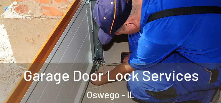Garage Door Lock Services Oswego - IL