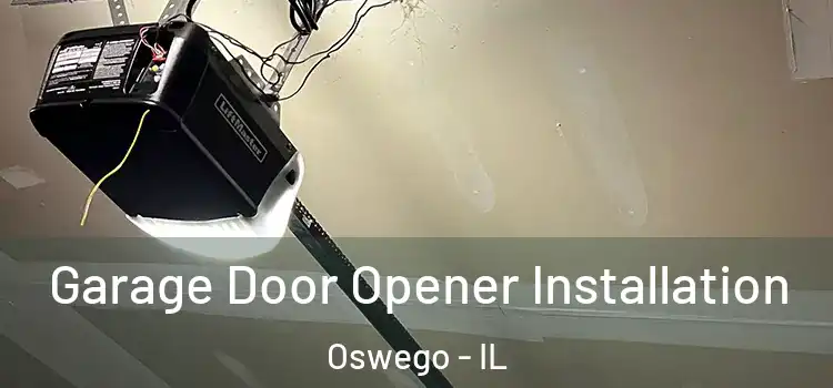  Garage Door Opener Installation Oswego - IL