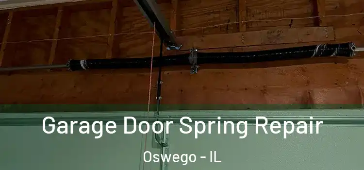  Garage Door Spring Repair Oswego - IL