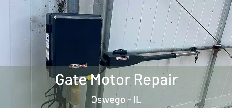 Gate Motor Repair Oswego - IL