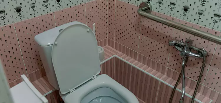 Meeting Diverse Needs With Accessible Restroom Solutions in Oswego, IL
