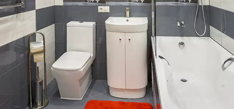 Hansgrohe Shaving Mirror Oswego
