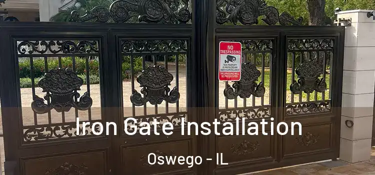 Iron Gate Installation Oswego - IL