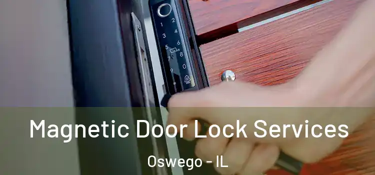 Magnetic Door Lock Services Oswego - IL