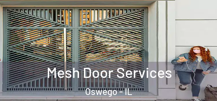 Mesh Door Services Oswego - IL